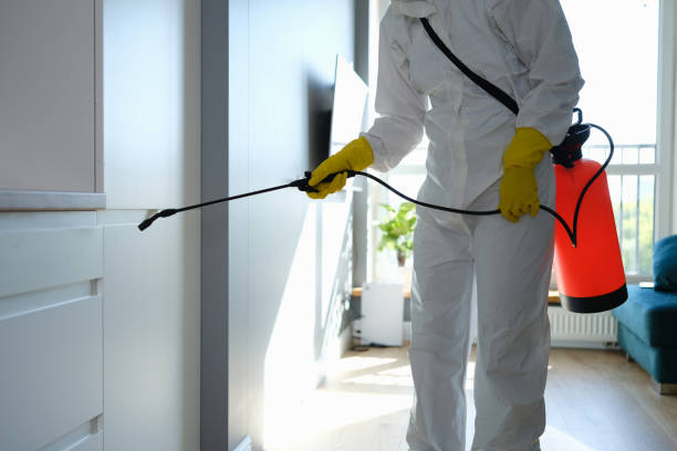 Best HVAC Mold Remediation in Woodacre, CA